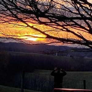 Meet your Posher, Norma